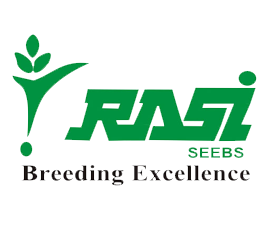 Rasi Seeds